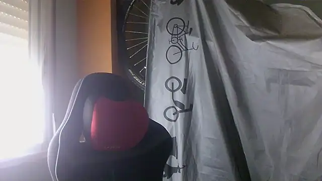 porkorossy online show from May 28, 2026, 7:16 am