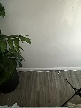 Snapshot of demonslayerr999 chatting on February 26, 2025, 4:24 pm demonslayerr999 online show from February 26, 2025, 4:24 pm