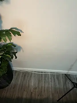 Snapshot of demonslayerr999 chatting on March 21, 2025, 6:05 am demonslayerr999 online show from March 21, 2025, 6:05 am