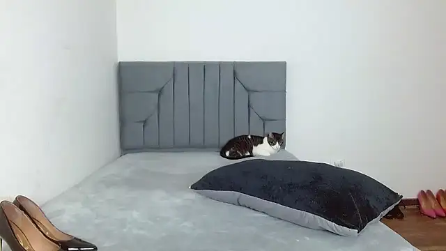 celeste 2023 online show from January 7, 2026, 2:36 am