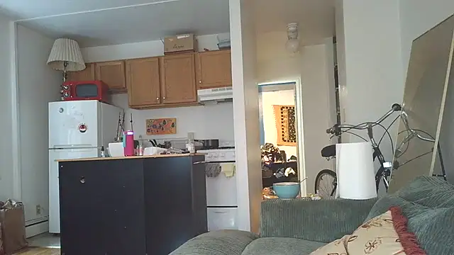 Snapshot of SiminFox chatting on October 31, 2025, 7:48 pm SiminFox online show from October 31, 2025, 7:48 pm