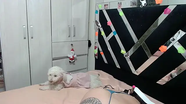 katery wok11 online show from April 5, 2026, 4:09 am