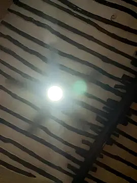 Snapshot of petiteebony_81 chatting on November 26, 2025, 6:31 pm petiteebony 81 online show from November 26, 2025, 6:31 pm