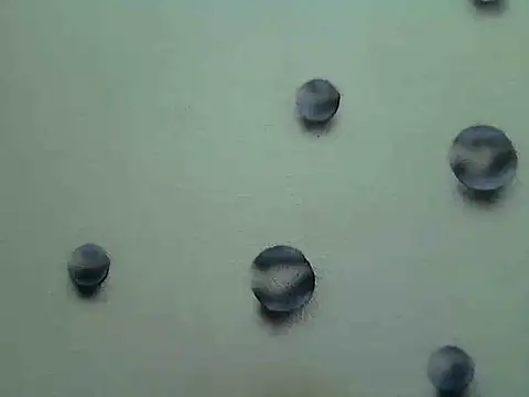 Jillian Pattie online show from January 7, 2025, 4:59 pm