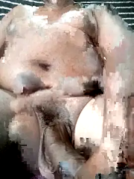 poloplayer123 online show from April 11, 2026, 9:46 am