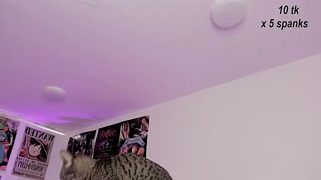 Snapshot of Sachi_Meow chatting on October 26, 2025, 12:00 pm Sachi Meow online show from October 26, 2025, 12:00 pm