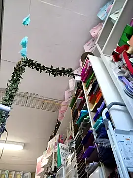 Mia Novikov online show from October 4, 2025, 8:07 pm