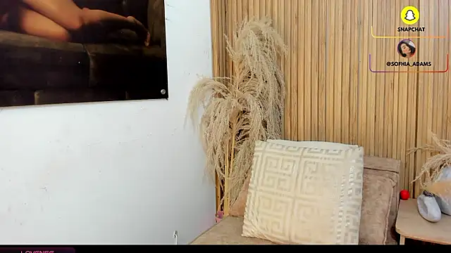 sofhiaa adaams online show from February 20, 2026, 10:43 pm