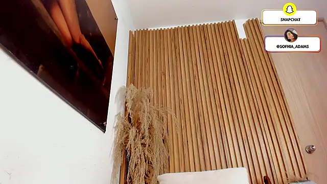 sofhiaa adaams online show from March 8, 2026, 3:54 am