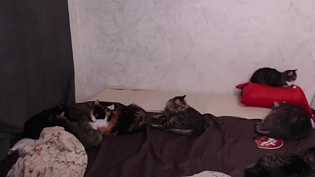 Olivia Winston online show from February 4, 2026, 3:18 pm