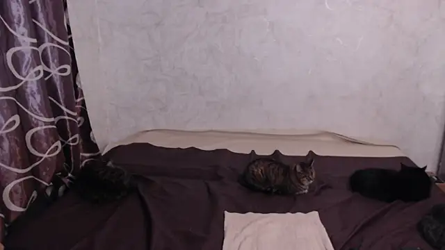 Olivia Winston online show from April 10, 2026, 2:39 am