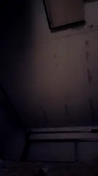 Forbidden daddy online show from April 11, 2026, 10:41 am