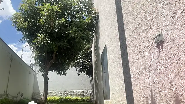 ChocolateCakeQueen online show from November 11, 2025, 4:40 pm