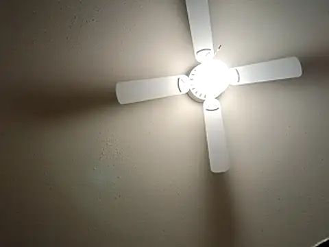 EXOTICLEXXXI online show from December 23, 2025, 3:37 am