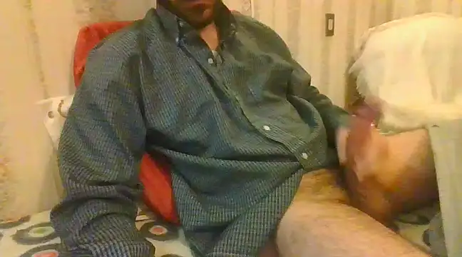 Snapshot of tozebrito_hd chatting on February 16, 2025, 1:27 pm tozebrito hd online show from February 16, 2025, 1:27 pm