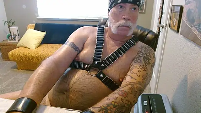musclebearnips online show from June 23, 2026, 5:55 pm