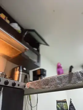 JulianaCastillo online show from April 2, 2026, 9:18 am