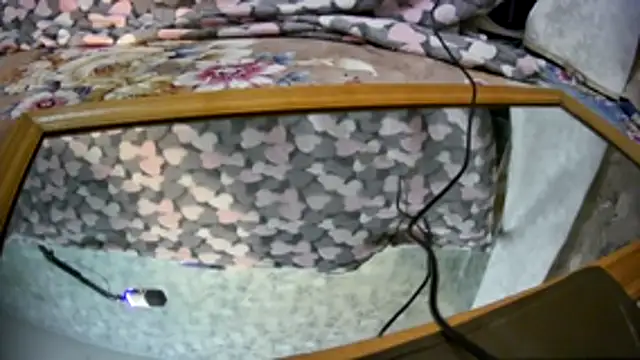 Kai and you online show from November 21, 2025, 12:21 am