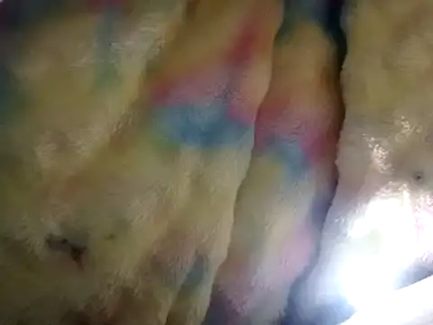 Moreno1813 online show from March 15, 2025, 2:55 pm