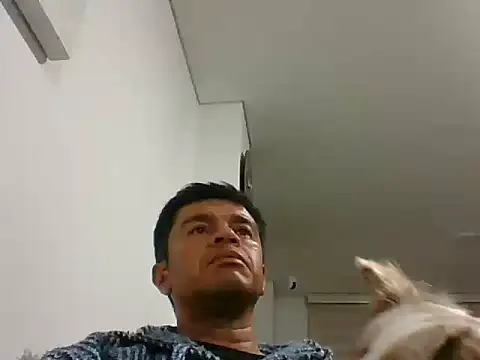 Snapshot of perxxxeo_ chatting on October 11, 2025, 1:38 am perxxxeo  online show from October 11, 2025, 1:38 am