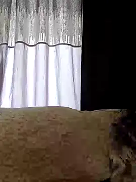 Snapshot of SidneyRaee chatting on February 3, 2025, 4:52 pm SidneyRaee online show from February 3, 2025, 4:52 pm