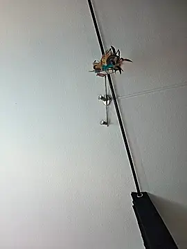 Snapshot of dieGeile0411 chatting on October 24, 2025, 9:49 am dieGeile0411 online show from October 24, 2025, 9:49 am