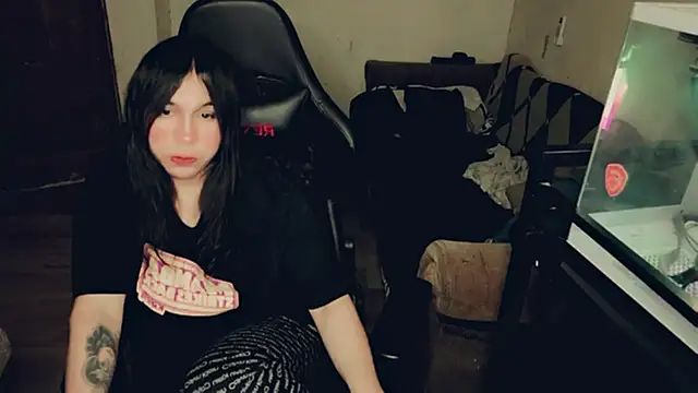 evelyntvsexy online show from July 13, 2026, 7:44 am