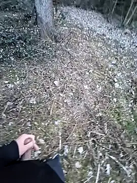 Snapshot of Picknick84 chatting on March 21, 2025, 5:23 pm Picknick84 online show from March 21, 2025, 5:23 pm