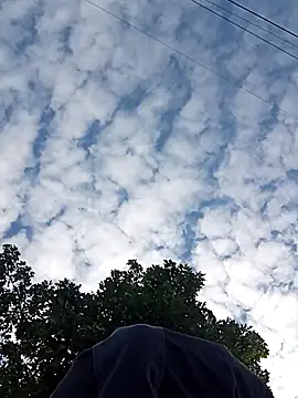 perversalus online show from October 2, 2025, 9:16 am