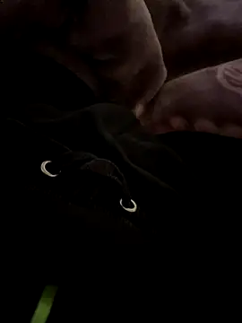 Snapshot of balamuc97 chatting on December 4, 2025, 11:52 am balamuc97 online show from December 4, 2025, 11:52 am