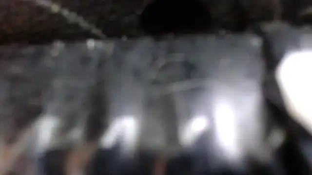 SaraMartins00 online show from December 14, 2024, 9:45 pm