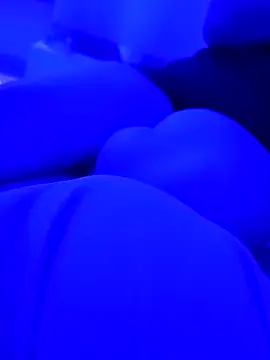 AlanDickson online show from March 12, 2026, 10:10 am