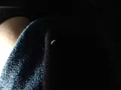 Snapshot of IMAGatMARK chatting on February 16, 2025, 8:11 pm IMAGatMARK online show from February 16, 2025, 8:11 pm