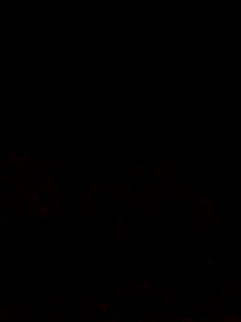 Snapshot of Adee21e chatting on October 12, 2025, 6:51 pm Adee21e online show from October 12, 2025, 6:51 pm