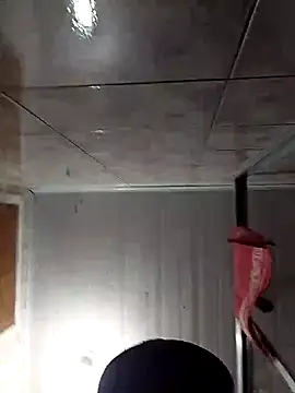 Snapshot of Adee21e chatting on November 17, 2025, 8:47 pm Adee21e online show from November 17, 2025, 8:47 pm