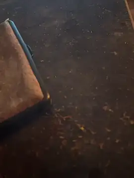 FreshWonder0 online show from November 17, 2025, 5:19 pm