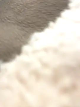 NewLale online show from October 12, 2025, 3:38 am