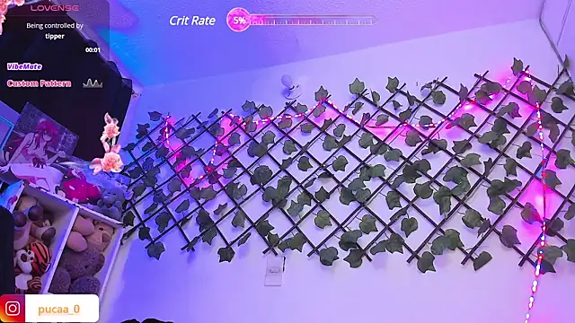 Snapshot of Pucaa_ chatting on January 28, 2025, 12:57 am Pucaa online show from January 28, 2025, 12:57 am