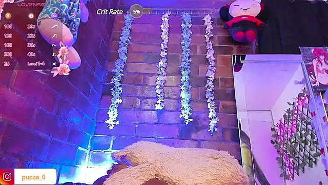 Snapshot of Pucaa_ chatting on January 31, 2025, 4:03 am Pucaa online show from January 31, 2025, 4:03 am