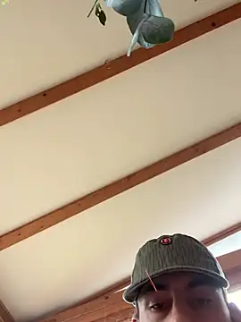 habbockwiesau online show from March 15, 2026, 2:12 pm