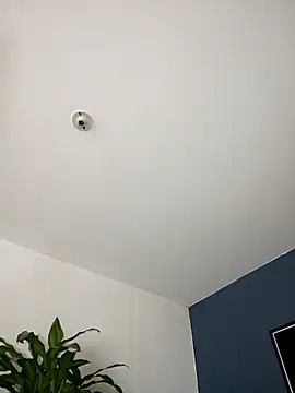 Snapshot of SilvaBranko chatting on November 2, 2025, 11:07 pm SilvaBranko online show from November 2, 2025, 11:07 pm