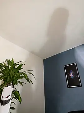 Snapshot of SilvaBranko chatting on November 4, 2025, 10:09 pm SilvaBranko online show from November 4, 2025, 10:09 pm