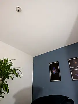 Snapshot of SilvaBranko chatting on November 9, 2025, 1:04 am SilvaBranko online show from November 9, 2025, 1:04 am