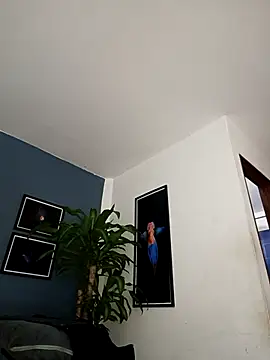 SilvaBranko online show from December 18, 2025, 12:06 am