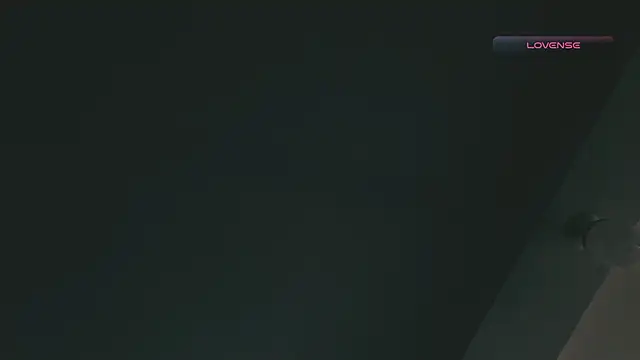 SilvaBranko online show from February 17, 2026, 3:08 pm