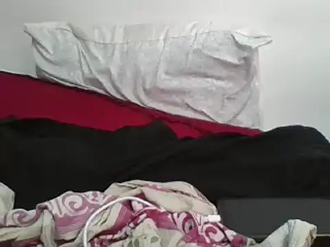 Whimsicalwillow online show from February 22, 2025, 1:13 pm