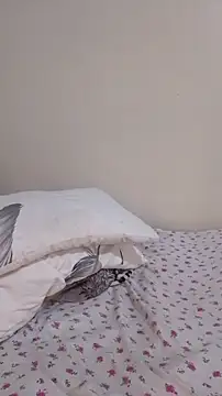 Snapshot of MaskedGQ chatting on November 5, 2025, 6:52 pm MaskedGQ online show from November 5, 2025, 6:52 pm