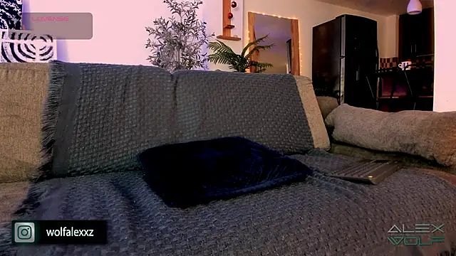 Snapshot of alex_wolf_ chatting on February 8, 2025, 2:04 am alex wolf online show from February 8, 2025, 2:04 am