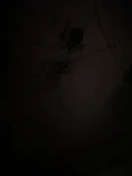 EnricoGio online show from January 15, 2026, 1:21 am