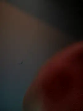 lolabun247 online show from November 2, 2025, 10:50 am